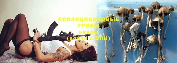 марихуана Богородицк