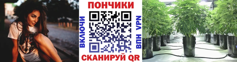 цены   Евпатория  Шишки марихуана марихуана 